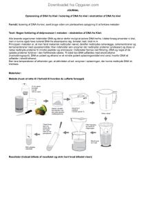 Isolering Af Kiwi Dna Biologi Opgaver