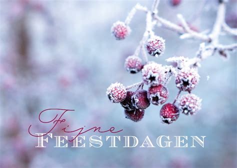 Kerstkaart Natuurfoto Fijne Feestdagen Kaartje2go