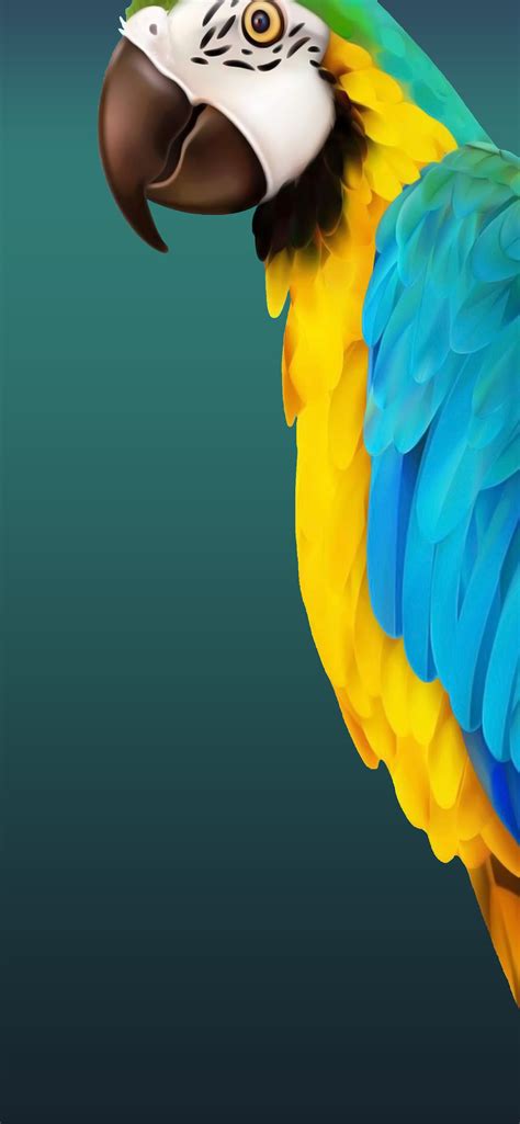 I've edited the nice Parrot background be more dar... iPhone Wallpapers ...