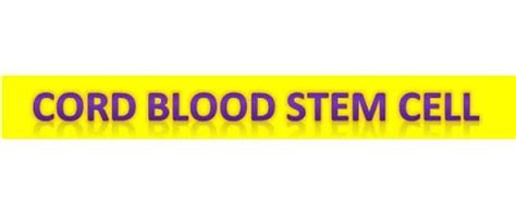 Cord Blood Stem Cells Treatment Public Umbilical Cord Blood Bank 2024