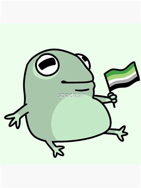 Frog With Aromantic Flag Poster For Sale By Spadesir Redbubble