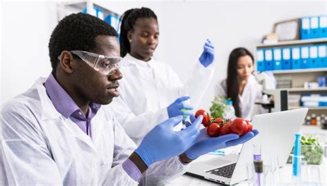 What Can You Do With A Food Science Degree Top Universities