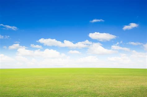 Pasto Verde Con Cielo Azul Y Clounds Blancos Foto Premium