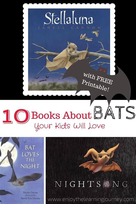 Childrens Books About Bats Preschool Books Childrens Books Toddler