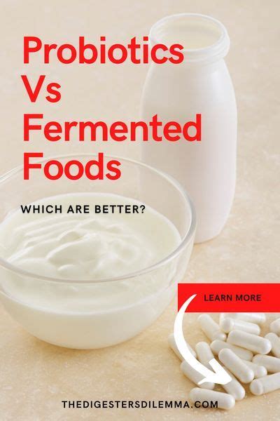 Lactic Acid Fermentation In Food Explained Artofit