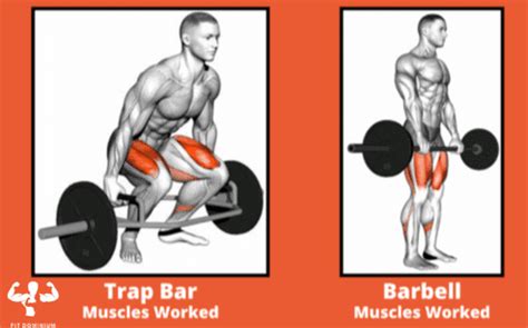 Top 7 Trap Bar Deadlift Muscles Used – FitDominium