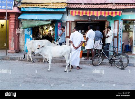 Rameswaram, Tamil Nadu, India - May 25, 2014. Full report about ...