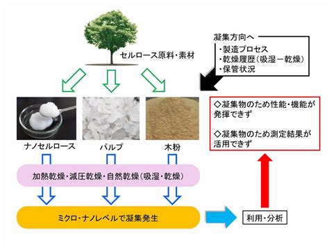 基礎解説 機器分析 先進セルロース材料共同研究講座