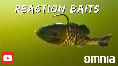 Unlocking The Potential Bass Fishing Tactics With Reaction Baits Youtube