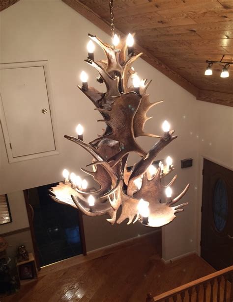 Real Antler Moose Cascading Chandelier Moosecascadeinv