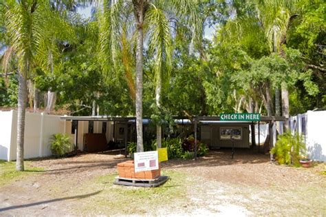 Exotic Cats At Big Cat Rescue In Tampa Fl Wander The Map