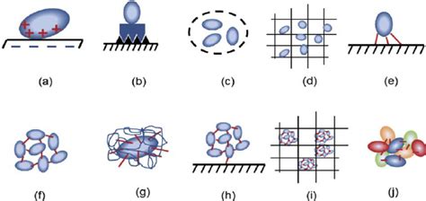 General And Combined Methods Of Enzyme Immobilization Ionic Physical