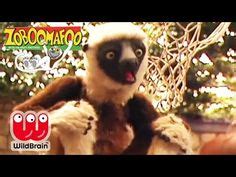 52 Popular Zoboomafoo ideas | animals for kids, youtube kids, lemur