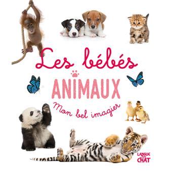 Mon Bel Imagier Les B B S Animaux Cartonn Collectif Achat