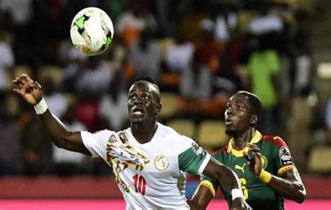 Media Afrique News Can S N Gal Vs Cameroun Duel De Lions Au