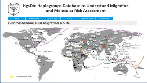 Migration route showing different haplogroups subtypes migrating at... | Download Scientific Diagram