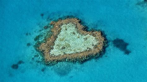 Heart Shaped Reef Great Barrier Reef Queensland Australia 1920x1080 Earthporn