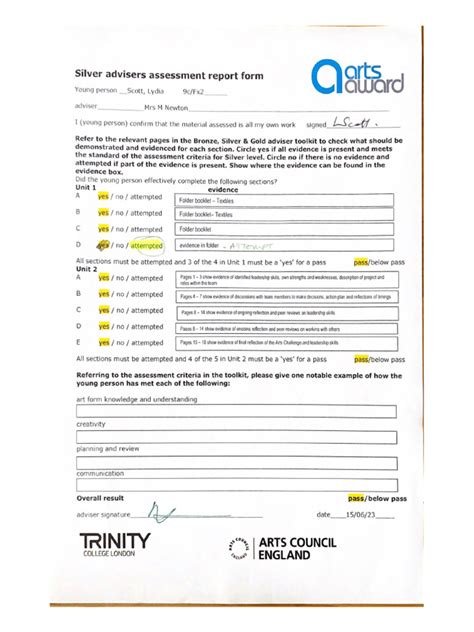 Silver Advisers Assessment Report Form Pdf