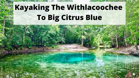 Kayaking The Withlacoochee River To Big Citrus Blue Spring