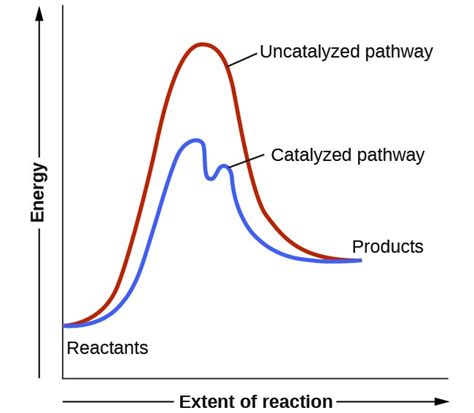 Reaction Profile Diagram With Catalyst