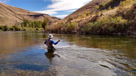 Bow River Fly Fishing at River Ranche