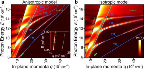 Giant Optical Anisotropy In Transition Metal Dichalcogenides For Next