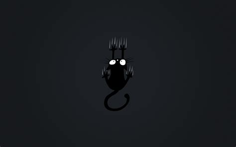 Black Cat Minimalist Wallpapers - Wallpaper Cave