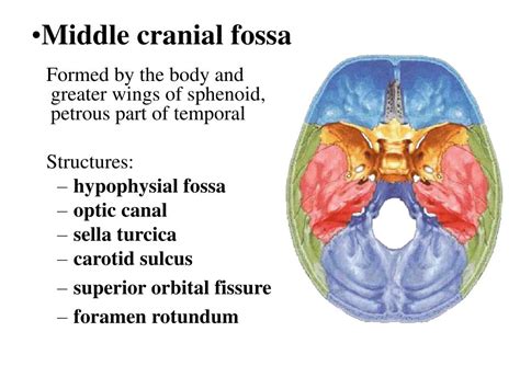 Middle Cranial Fossa Surgery