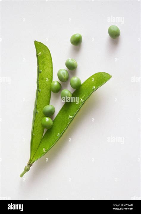 Empty Pea Pod Hi Res Stock Photography And Images Alamy