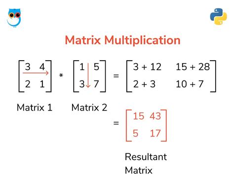 Examples Of Multiplication Of Matrix - Robert Sheetz's Multiplying Matrices