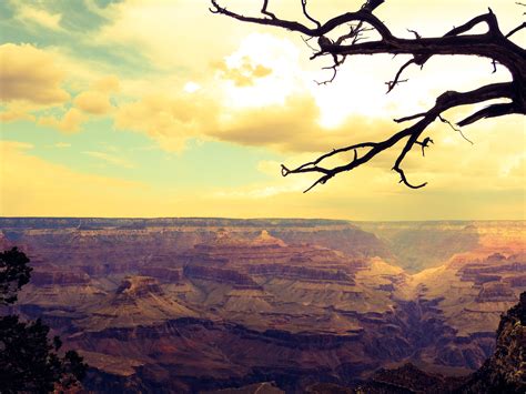 South Rim Trail Rim Trail Grand Canyon Village Az Usa Sunrise