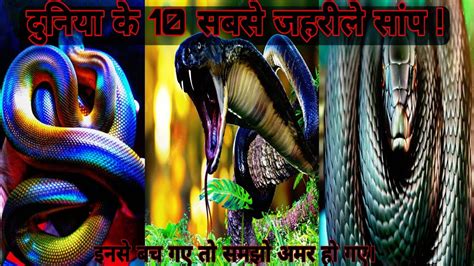 दुनिया के 10 सबसे जहरीले सांप 10 Most Poisonous Snakes In The World