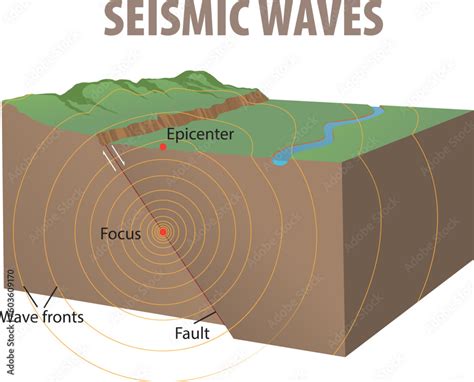 illustration of seismic waves diagram Stock Vector | Adobe Stock