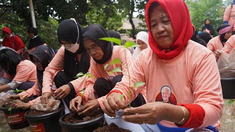 Jaga Ketahanan Pangan Relawan Ganjar Tanam Pohon Cabai Di Cilangkap