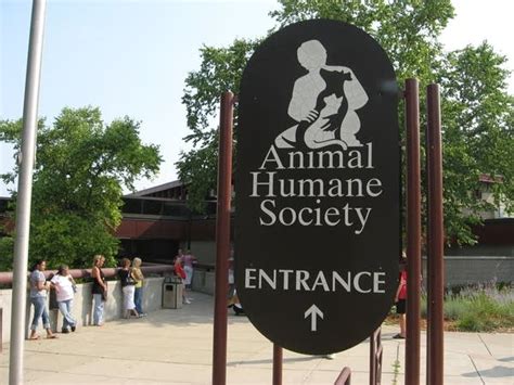 Humane Society offers 2-for-1 cat adoptions | MPR News