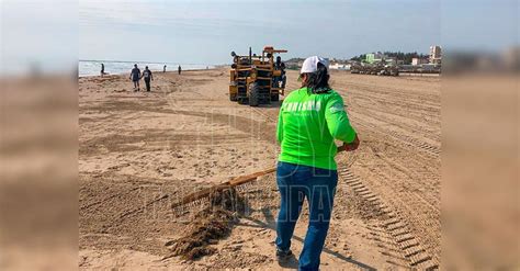 Hoy Tamaulipas Tamaulipas En Ciudad Madero Cuadrillas De Trabajadores Retiran Sargazo De Playa