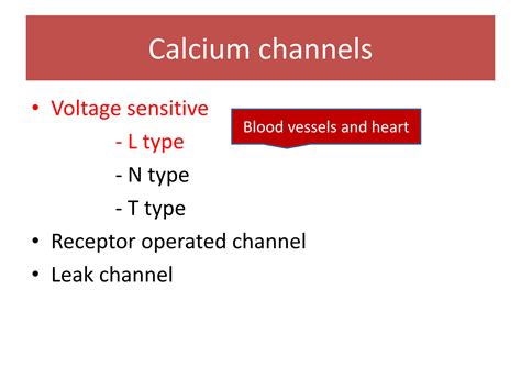 Solution Calcium Channel Blockers Studypool