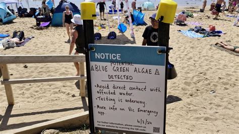 Deec Issues Warning For Torquays Cosy Corner Beach After Blue Green