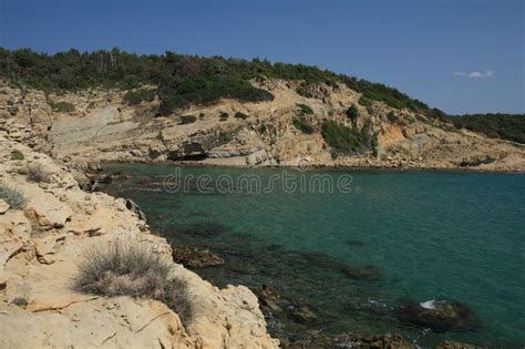 Stolac Naturiste Plage De Pierre Sur L Le De Rab En Croatie Image