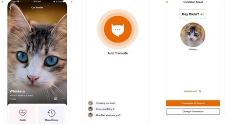 MeowTalk así funciona la aplicación que te permite hablar con tu gato