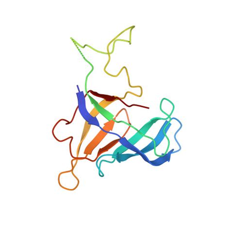 Rcsb Pdb Rqt Rna Polymerase I Twh Rrn Dna