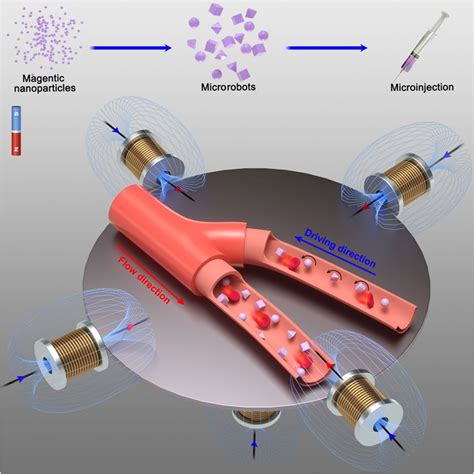 Schematic Illustration Of Magnetically Controlled Microrobot Navigation