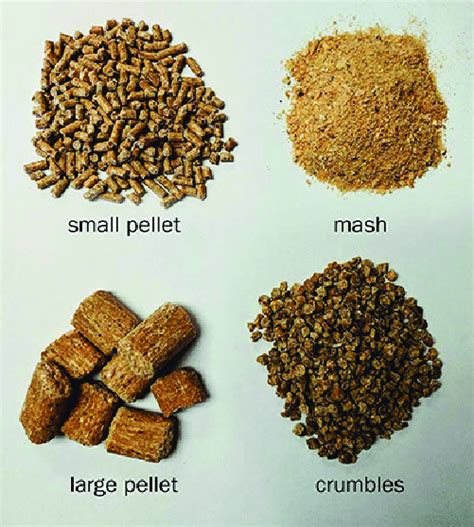 Different Sizes Of Creep Feed Source L Eastwood Omafra 2018 Download Scientific Diagram