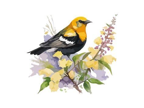 Aquarela Yellowheaded Scotts Oriole Bird Pintura Desenhada à Mão