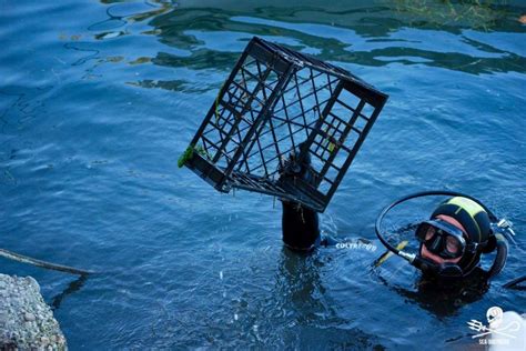 Wwf Tonnellate Di Rifiuti Recuperate Dal Garda Tra Il E Il