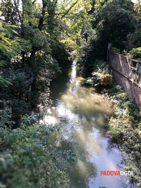 Degrado Urbano Un Lettore Segnala La Situazione Di Incuria Nella Zona