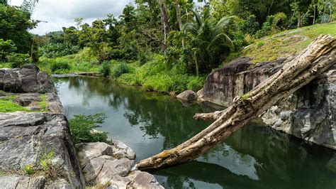 Taínos A Culture To Remember By Jowen H Ortiz Cintrón By Viewpr