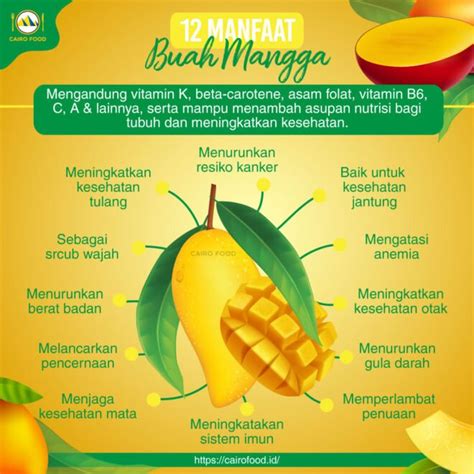 12 Manfaat Buah Mangga Yang Harus Kamu Ketahui Cairo Food