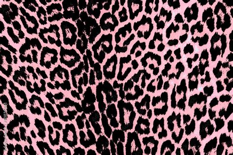 [100+] Pink Leopard Print Wallpapers | Wallpapers.com