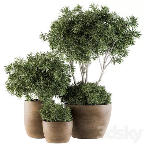 Outdoor Plants Tree In Concrete Pot Set 111 3D Model 3DSKY Decor Helper